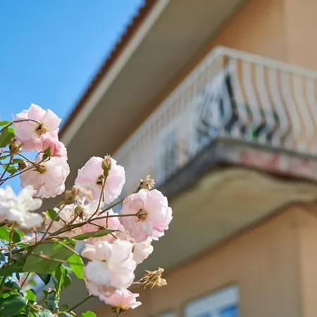 Bright With Garden In Cascais