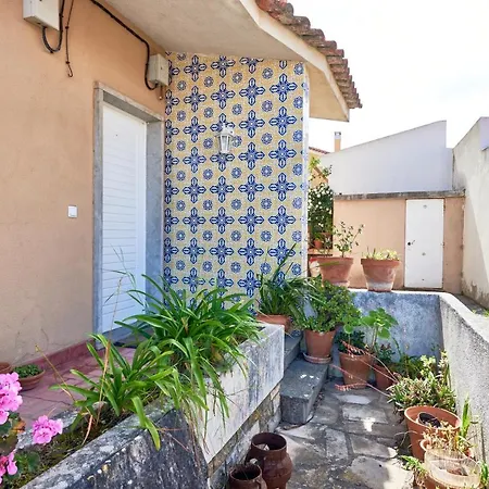 Bright With Garden In Apartment *