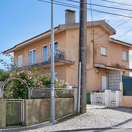Bright With Garden In Apartment